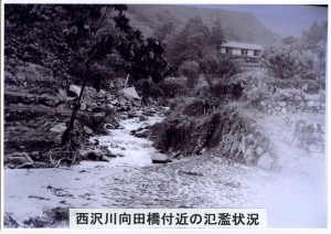 12西沢川向田橋付近の氾濫